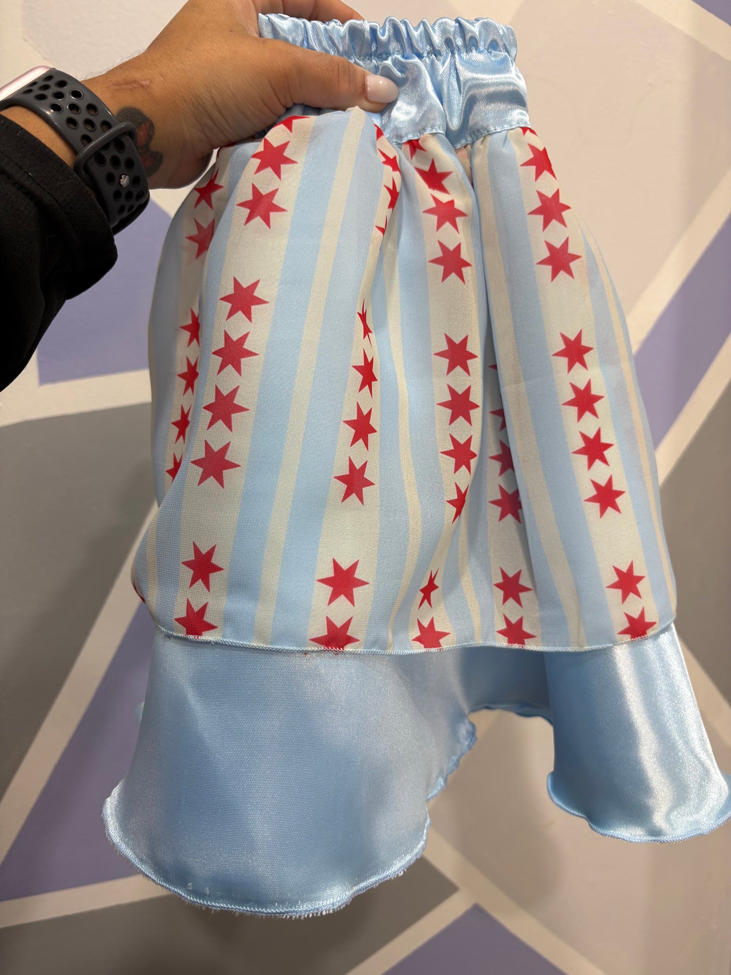 SIZE SMALL CHICAGO SKIRT